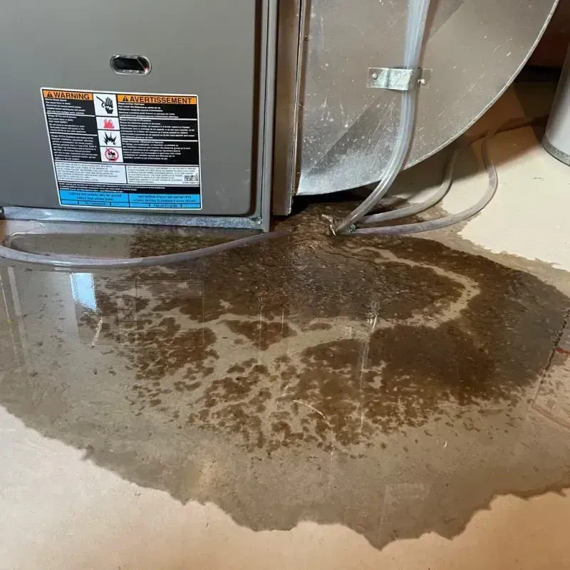 Appliance Leak Cleanup in Duson, LA